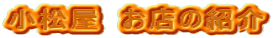 @X̏Љ 